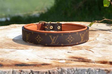 lv dog bowl|dog louis vuitton collar.